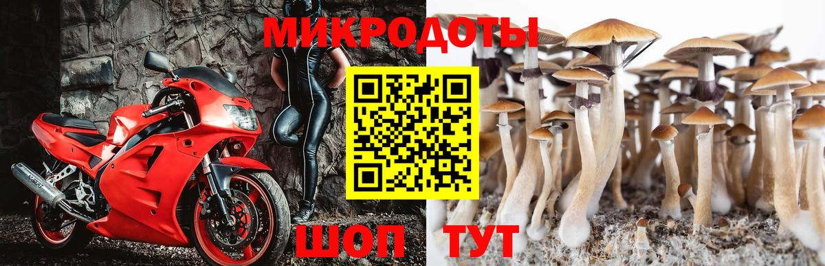 Новоалександровск  Псилоцибиновые грибы Psilocybe  Галлюциногенные грибы MAGIC MUSHROOMS  наркошоп  Вход с VPN 