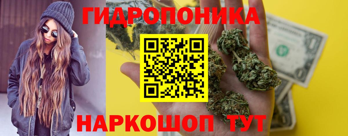 Шишки марихуана план Новоалександровск